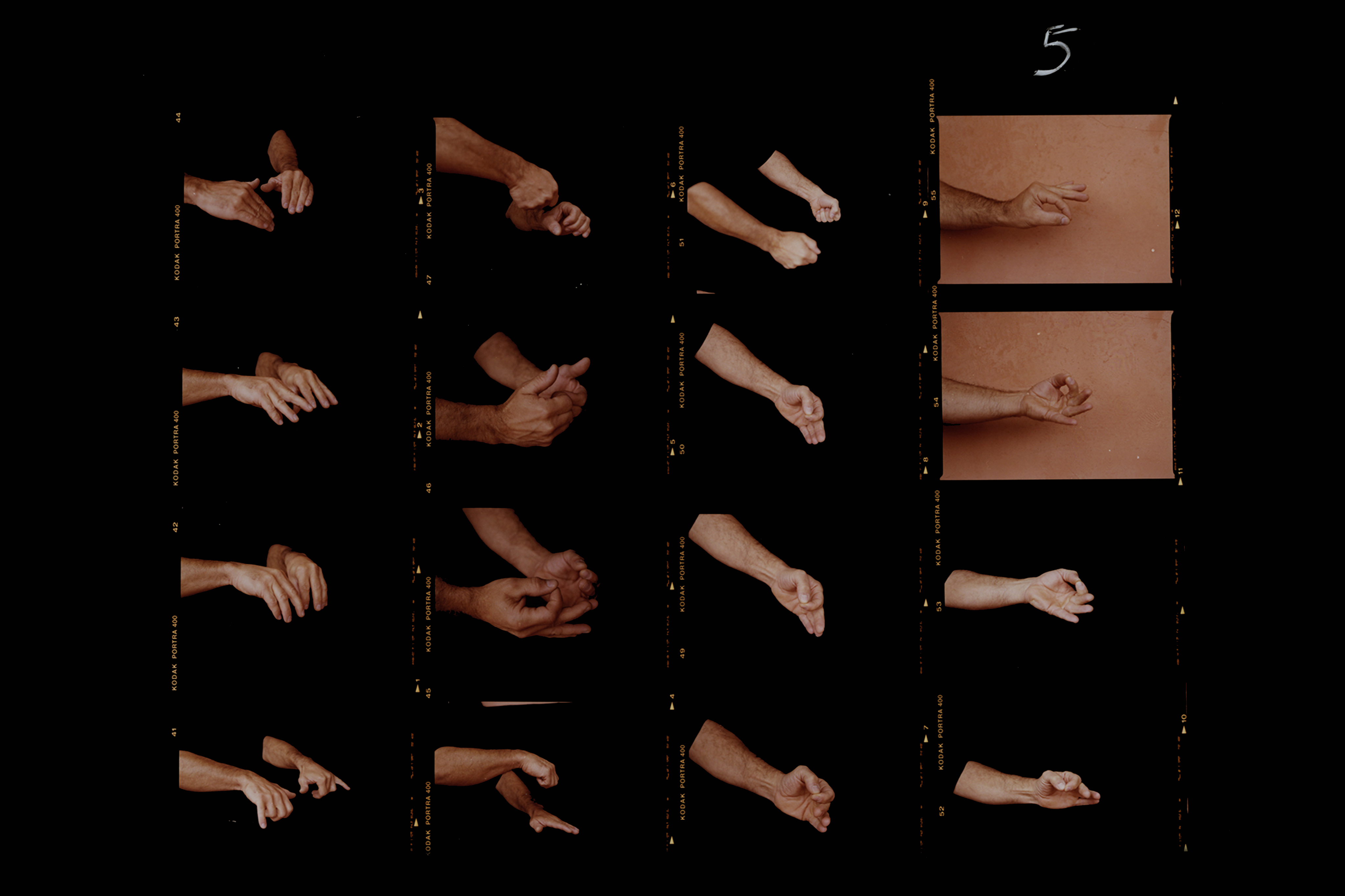 Inaugurazione Mostra fotografica di Rachele Maistrello per Zenato Academy - Milano Centrale Festival